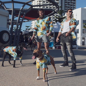 Bild in Slideshow öffnen, Hawaiian pet and human matching shirts
