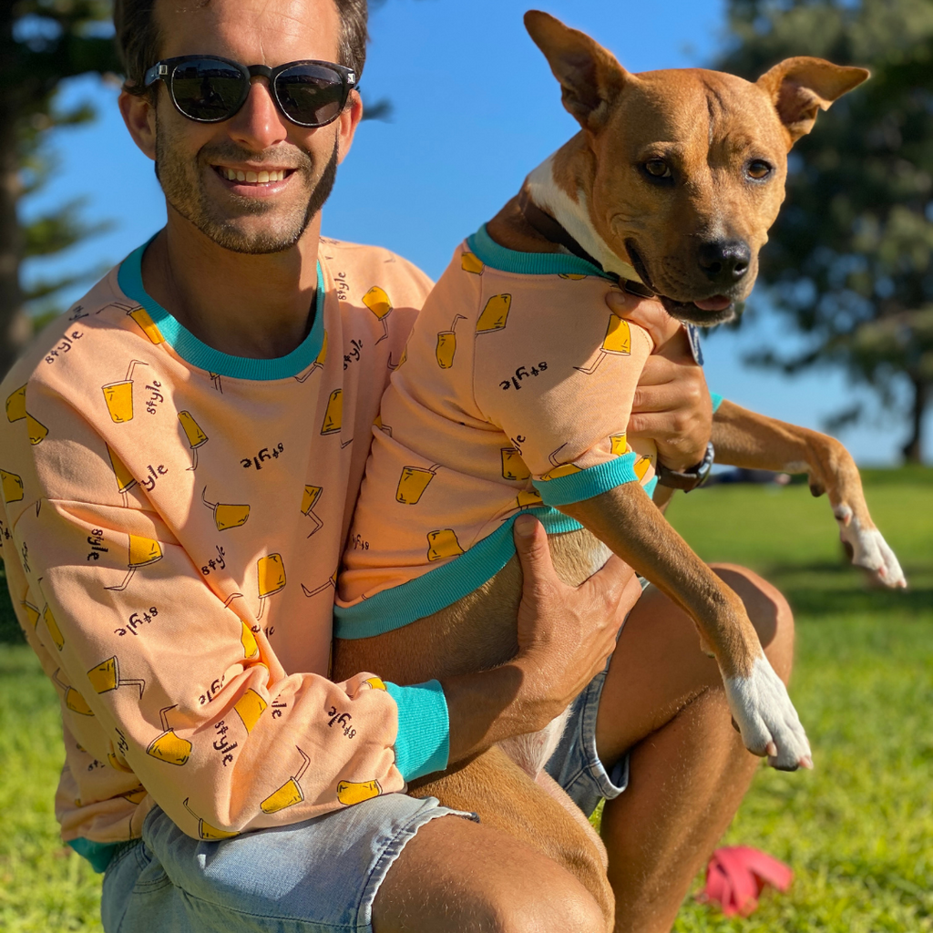 Pet and human matching apparel