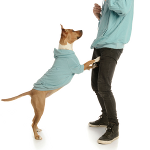 Open image in slideshow, MODOG SPORTY MATCHING HOODIES
