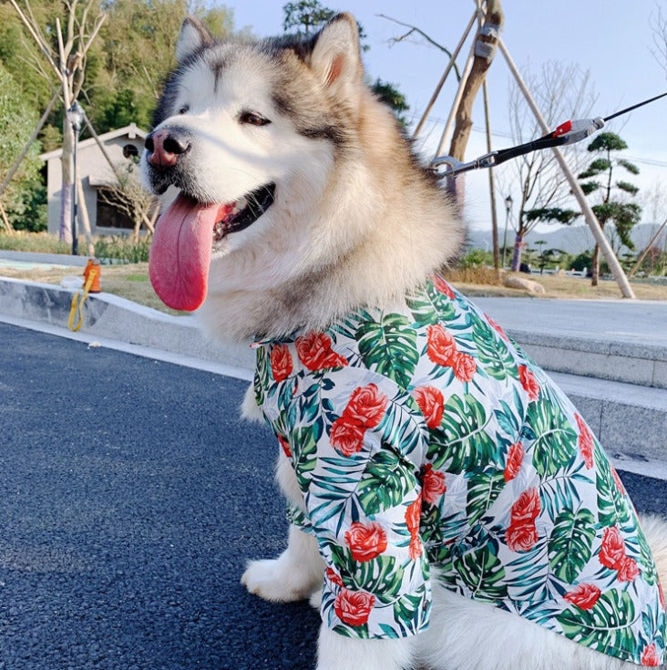 Roses dog shirt casual and perfect for all formal ocassions