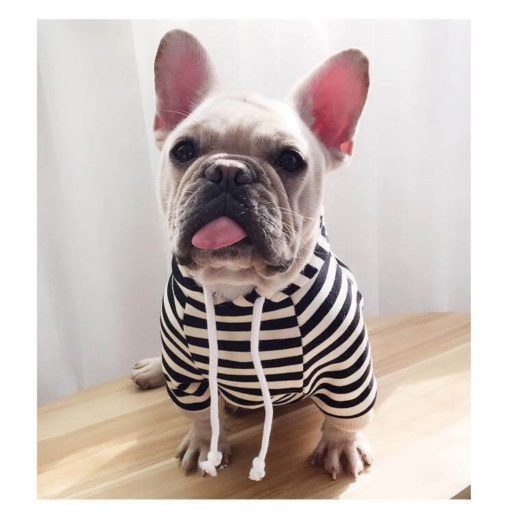 French Bull Dog stripped outfit set